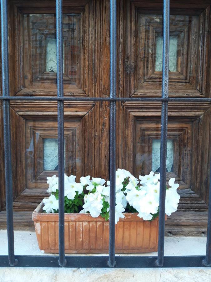 Penzion La Sinagoga Penaranda de Duero Exteriér fotografie